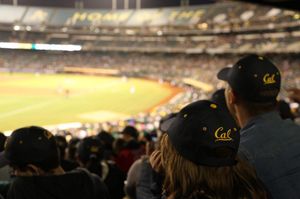 Image post by @athletics on Instagram