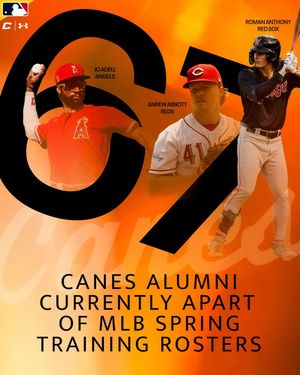 Image post by @thecanesbb on Instagram