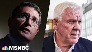 Video post by @msnbc on YouTube