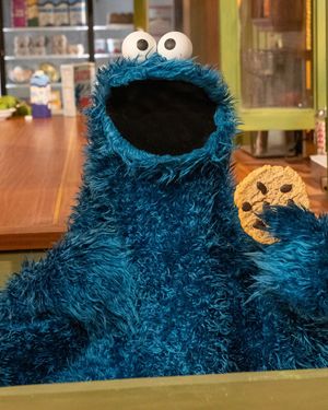 Image post by @cookiemonster on Instagram