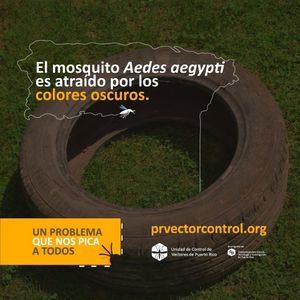 Image post by @prvectorcontrol on Instagram