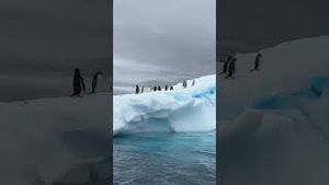 Video post by @bbcearth on YouTube