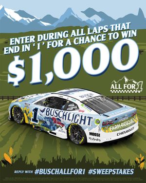 Image post by @BuschBeer on Twitter