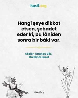 Image post by @kesiforg on Instagram