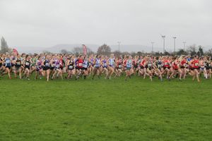 Image post by @BUCSsport on Twitter