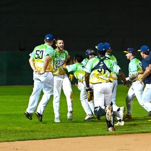Image post by @burlington_bees on Instagram
