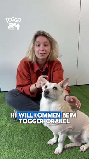 Video post by @toggo on TikTok