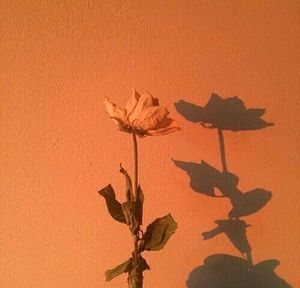 Image post by @loralyee on Instagram