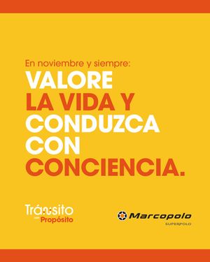 Image post by @marcopolosuperpolocol on Instagram