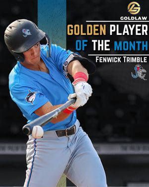 Image post by @gohammerheads on Instagram
