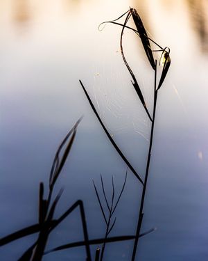 Image post by @cristan.nature.photography on Instagram