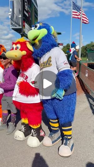 Image post by @yorkrevolution on Instagram