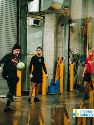 Image post by @ohlicedogs on Instagram