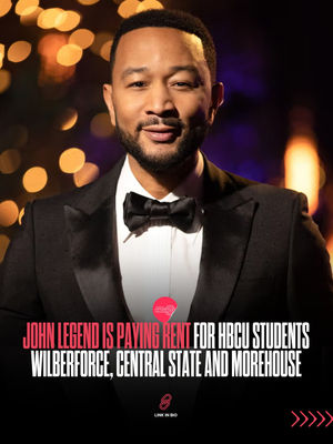 Image post by @hbcubuzz on Instagram