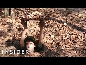 Video post by @Insider on YouTube