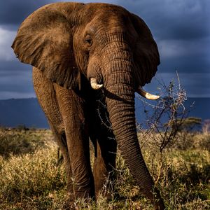 Image post by @bbcearth on Instagram