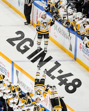 Image post by @penguins on Instagram