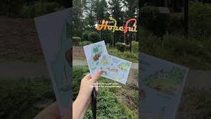 Video post by @bostonwithemily on YouTube