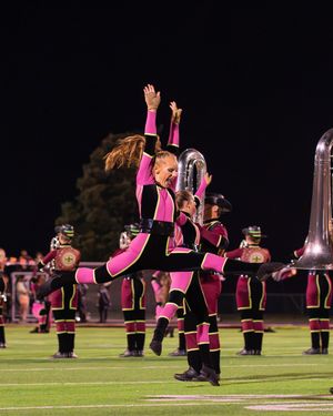 Image post by @madisonscouts on Instagram