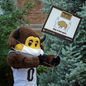 Image post by @cubuffs on Instagram