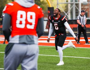 Image post by @gocamels on Instagram