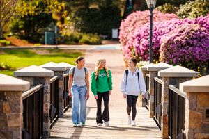 Image post by @endicottcollege on Instagram
