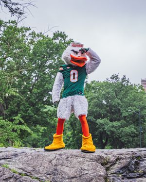 Image post by @um_sebastian on Instagram