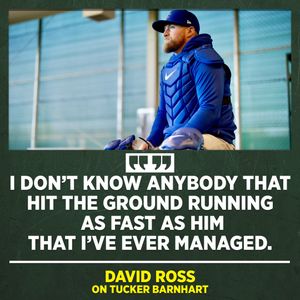 Image post by @chicagocubsnation on Instagram