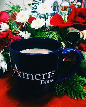 Image post by @amerisbank on Instagram