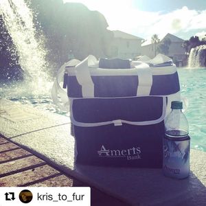 Image post by @amerisbank on Instagram