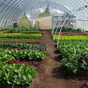 Image post by @greenhillwormfarm on Instagram
