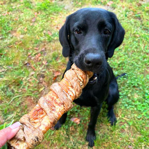 Image post by @honeyimhome on Instagram