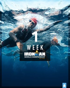 Image post by @ironmantri on Instagram