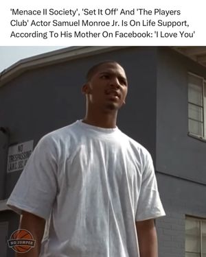 Image post by @nojumper on Instagram