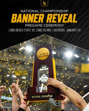 Image post by @lbsumvb on Instagram