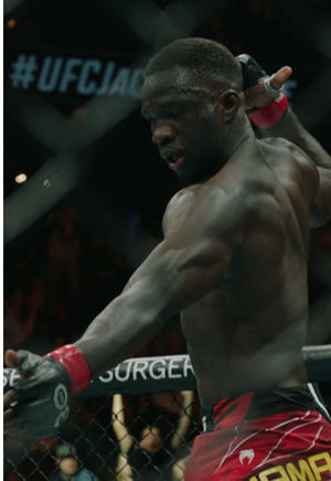 Video post by @ufc on TikTok