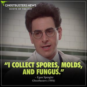 Image post by @ghostbustersnews on Instagram