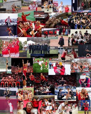 Image post by @utahathletics on Instagram