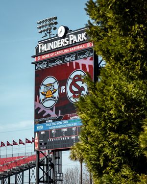 Image post by @gamecockbaseball on Instagram