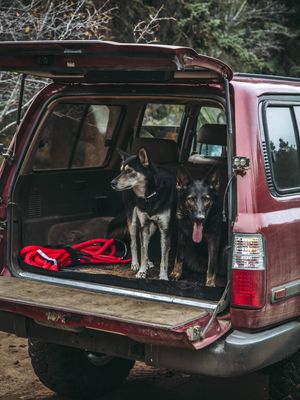 Image post by @weathertech on Instagram