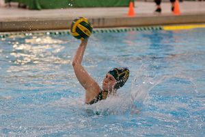 Image post by @lexiwoodcockvisuals on Instagram