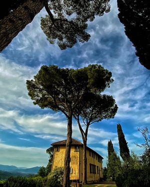 Image post by @jeanlaverdi on Instagram