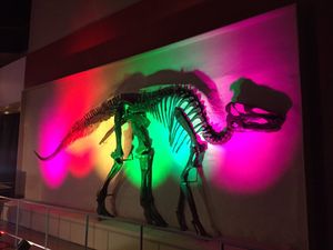 Image post by @ROMtoronto on Twitter