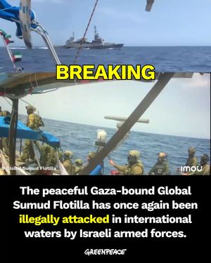 Image post by @greenpeace on Instagram
