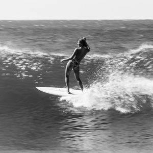 Image post by @Roxy on Twitter