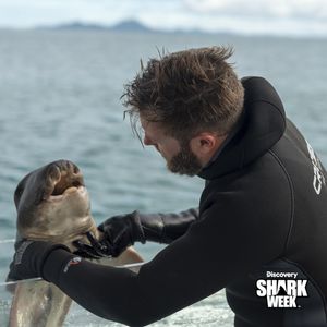 Image post by @AnimalPlanet on Twitter