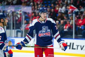 Image post by @WolfPackAHL on Twitter