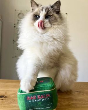 Image post by @originalbagbalm on Instagram