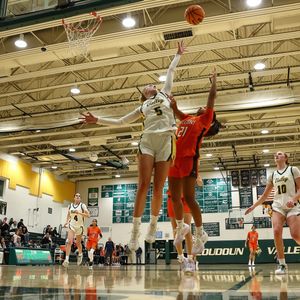 Image post by @plaidsheepcreative on Instagram