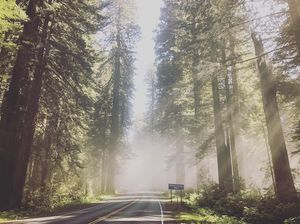 Image post by @lieandloft on Instagram
